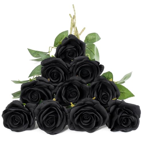 vU[uht[  ю̃u[P ? G s ̓Mtg  ԑ tFCN CeA flower ͂Ȃ   tFCNt[ u[P z  EFfBO a t Mtg (ubN)