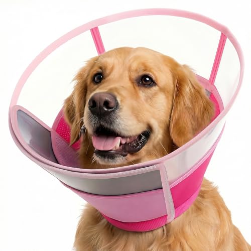 Image of KOESON Soft Medium Dog Cone Collar After Surgery to Stop Licking