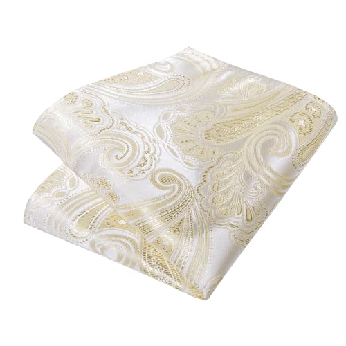 Image of DiBanGu Paisley Ties for Men Silk Necktie and Pocket Square Cufflinks Tie Clip Set Woven Classic Mens Tie for Wedding Party