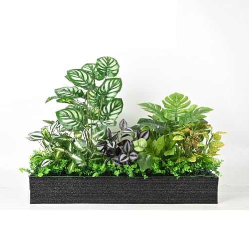 ポトス 寄せ植え」の人気商品一覧・価格比較 - 価格.com