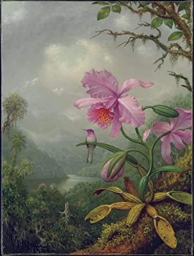 Tableau oiseau orchidée Johnson Heade poster décoration murale 60x90cm