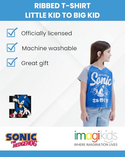 SEGA Sonic The Hedgehog Girls T-Shirt Little Kid to Big Kid Sizes (4-14-16)3