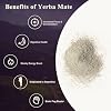 Yerba Mate Peach Mango Energy Tea Powder Clean Plant-Based Focus Drink with Probiotics & Adaptogens Low Sugar, No Crash, Smooth Taste 30 Refreshing Servings