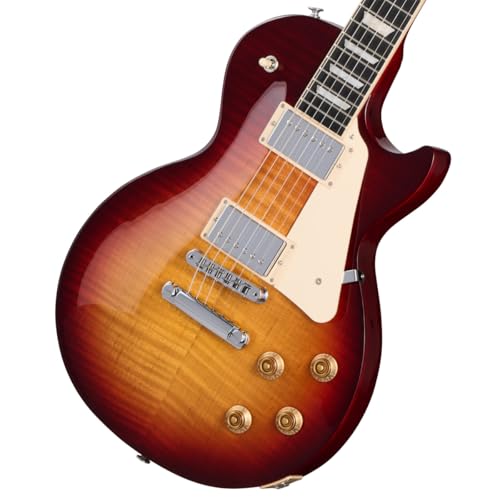 Gibson USA/Les Paul Studio Session Bourbon Burst X|[ X^WI