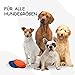 PETSATION – Faltbarer Hundenapf für unterwegs [Das Original] Reisenapf, Fressnapf & Wassernapf für Hunde - 350 ml Trinknapf, ideal für Reisen, Spaziergänge & Alltag – Leicht, kompakt (350ml, Blau)