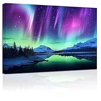 Amazon.co.jp: ZXHYWYM オーロラ ウォールアート カラフル