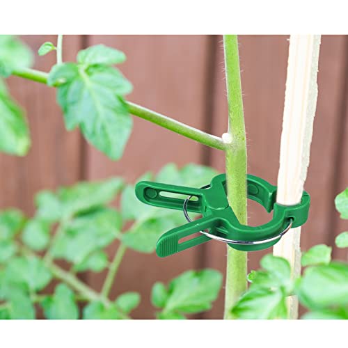 Miuezuth 48Pcs Plant Clips Garden Clips For Supporting Plants, Flowers And Vines, Gentle Durable Plant Support Clips Set (48 Small) #TOP2