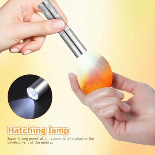 Abaodam Egg Incubator Automatic Egg Turning and Humidity Control Incubators for Hatching Chicken Ducks Goose Pigeon Quail Parrot Incubator for Science Classroom Home Yellow - Image 7