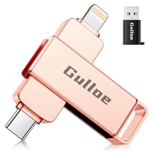 Gulloe 256GB Flash Drive...