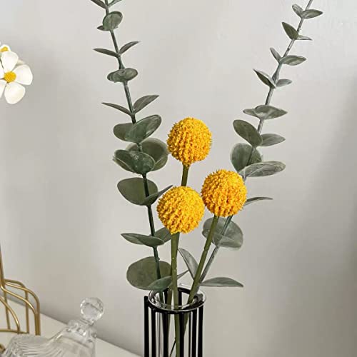 Home Page - Paul - Cosy Home Interiors