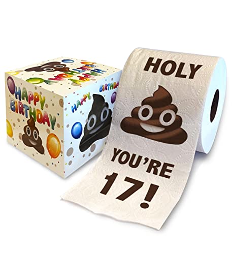 Papier hygiénique gag cadeau 17 ans, 500 feuilles, décor salle de bain