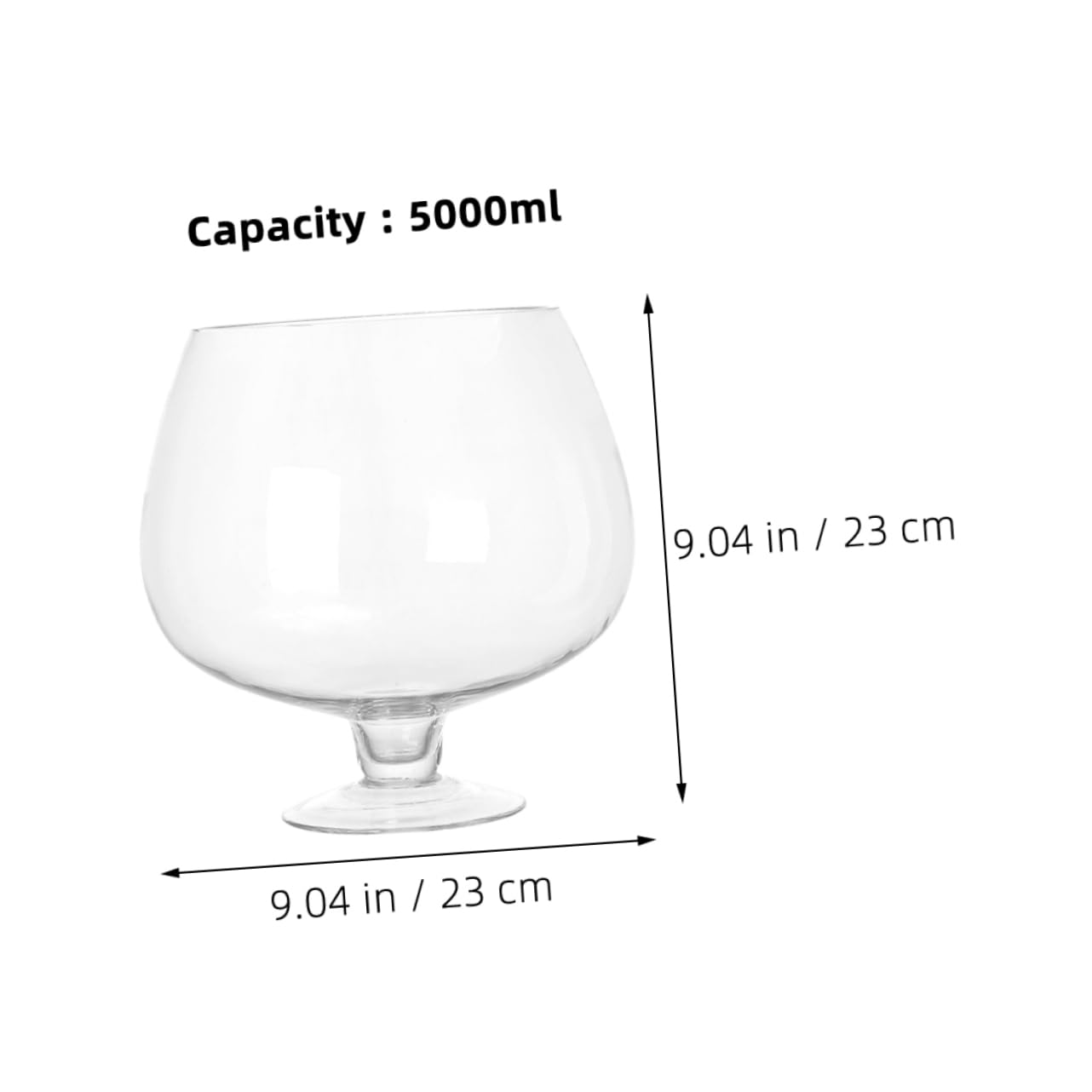 Petit Aquarium Transparent pour Poissons Betta Bocal à Poissons Verre Décoratif Et Facile à Nettoyer pour Bureau Ou Intérieur