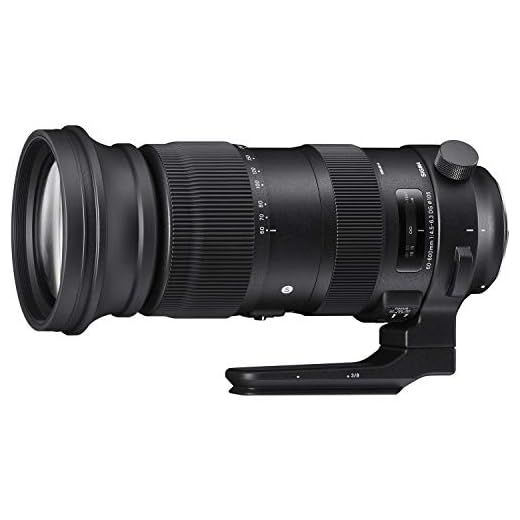 Sigma 60-600mm F4.5-6.3 Camera Lens