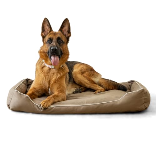 BOXXBERK Cama impermeable para perros grandes y medianos, cama ortopédica de espuma para perros con superficie de tela Oxford 900D, cama para perro con funda extraíble lavable y a máquina, 35 x 23