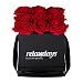 Produktbild Relaxdays Flowerbox, rot, 9 Rosen