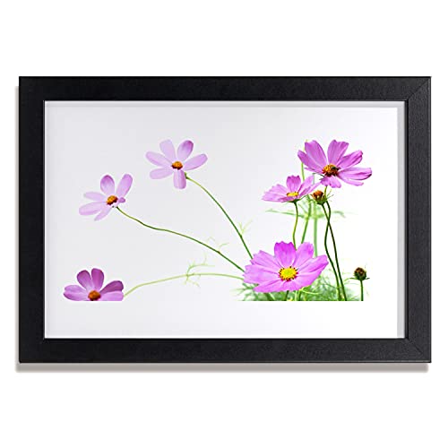 Photo de plante de fleurs sur affiche encadrée 30x20 cm avec cadre moderne en MDF
