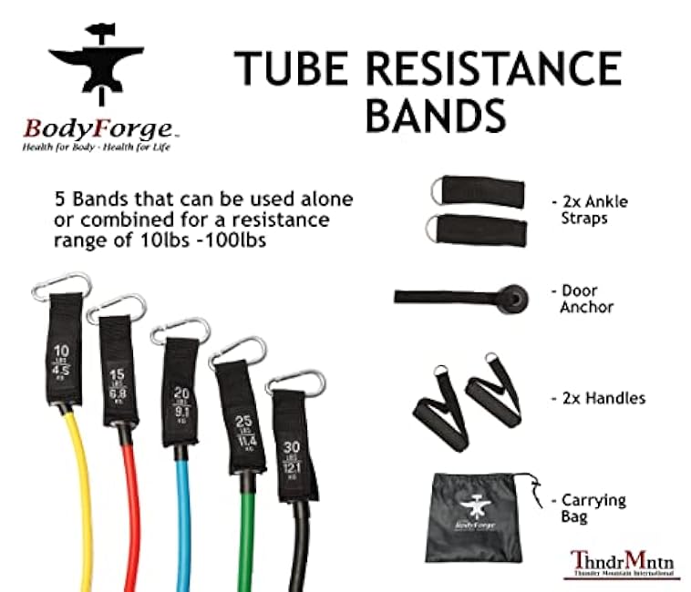 BodyForge Resistance Bands, Exercise Bands£¬Resistance Bands for Working Out, Work Out Bands with Handles for Men and Women Fitness, Strength Training Home Gym Equipment