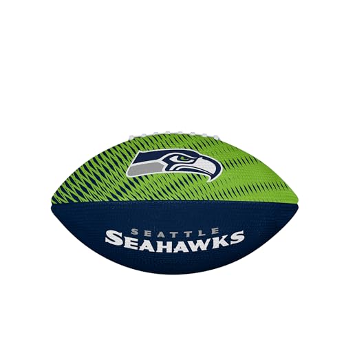 Image of WILSON Unisex NFL Team Tailgate Footballs