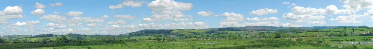 Peco SK-P05 Water Meadow 2400x333mm Photo Scenic Background