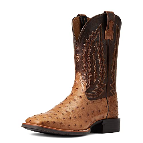 Ariat Unisex-Adult Western Mens Night Life Ultra Sqo Anq TBC/SRL BRN