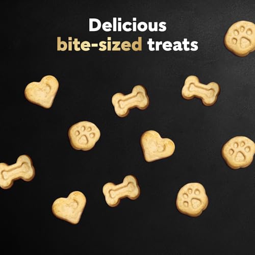CESAR BAKIES Dog Treats, For Small Breed Adult Dogs, Bacon Roasted Chicken Flavour, Crunchy Texture, Fun Shapes, 550g Resealable Pouch image 1