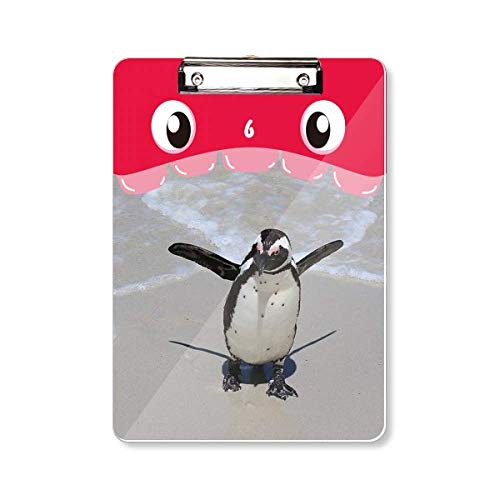 Porte-bloc support plaque A4 motif science nature océan antarctique pingouin