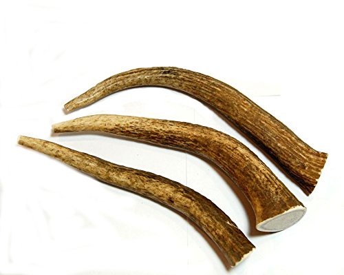 3-Pack Elk Antler Dog Chews, Medium Tines, 6 inches to 10 inches Long, for Small to Medium Sized Dogs and Puppies - Big Dog Antler Chews Brand