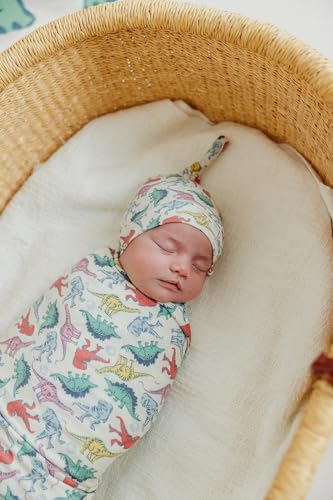 Image of Copper Pearl Swaddle Blankets for Newborns | Soft Stretchy Receiving Blankets for Boys and Girls | Large 46 x 46 Inch Baby Blankets | Lightweight and Breathable Swaddles | Dinosaurs of Jurassic Park
