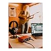 Focusrite Scarlett Solo 4th Gen USB Audio Interface, for the Guitarist, Vocalist, or Producer — High-Fidelity, Studio Quality Recording, and All the Software You Need to Record #4