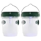 Drosophila Trap - Trampa para moscas, avispas y mosquitos solares LED Fly Traps Outdoor Wasp (2 unidades)