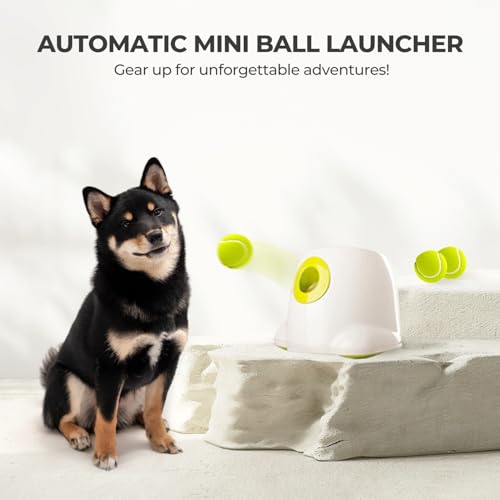ALL FOR PAWS Automatischer Ballwerfer für Hunde – Interaktive Ballwurfmaschine mit 3Pcs 2' Tennisbällen, für kleine & mittlere Hunde, Hundespielzeug, Interaktives Hundespielzeug