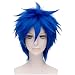 Flovex Short Straight Anime Cosplay Wigs Natural Sexy Costume Party Daily Hair (Blue)