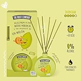 The Fruit Company - Ambientador Mikado Melón 40 ml. Difusor de...
