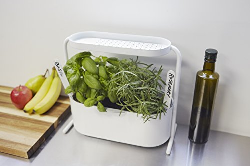 Umbra GIARDINO WHITE, ACIER, Blanc, 34.29 x 16.2 x 34.29 cm Umbra GIARDINO WHITE, ACIER, Blanc, 34.29 x 16.2 x 34.29 cm