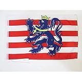 AZ FLAG