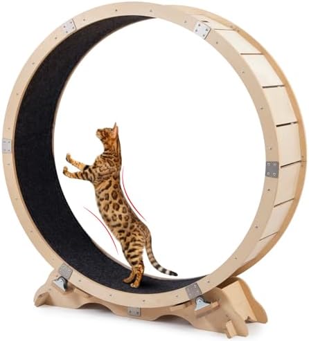 Exerciser For Indoor Cats IWOOYY Large Cat Exercise Wheel 40 Inch
