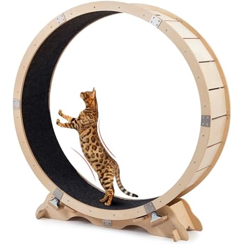 Decent Vrvege Cat Wheel Treadmill for Indoor Cats, 43 inch Large Wooden Cat Exercise Running Wheel, Wood Cat Exerciser Easy Assembly and Sturdy for Cats Weight Loss and Health Cover
