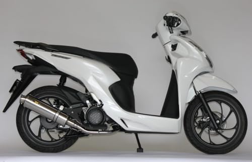 Realize Dio110 ( JK03 ) 22Racing SUSマフラー Amazon | Realize 22Racing SUS ステンレス Dio110 (2BJ-JK03) | フル
