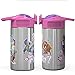 Zak Designs Paw Patrol Skye - Stainless Steel Water Bottle with One Hand Operation Action Lid and Built-in Carrying Loop, Straw Spout is Perfect for Kids (15.5 oz)