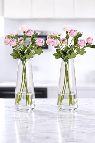 Image of Decorative Glass Vase for Flower Plants | Clear Glass vases for Home Decor | Glass vase for Living Room (Pack of 2)