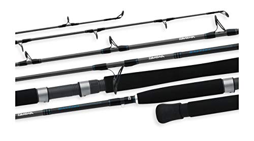 Daiwa STJ70MHFS Saltist Jigging Spinning Rod, 7
