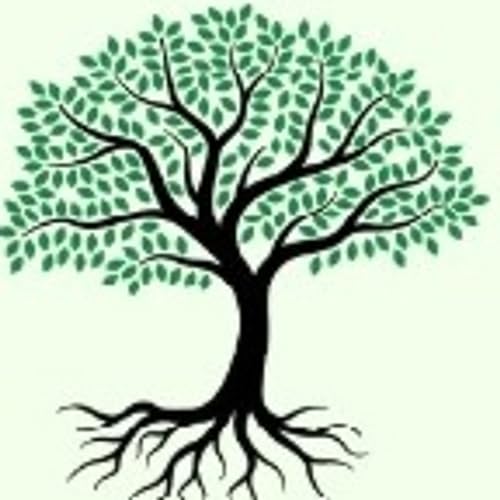 Living Kabbalah cover art