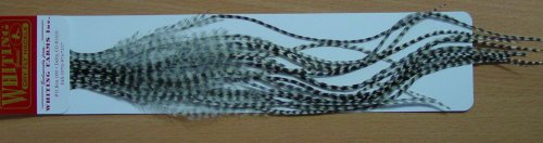 Whiting Farms 100 Pack