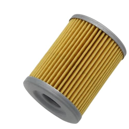 Filtre à huile pour moto AN400 DF200 DR125S cartouche 16510-24501