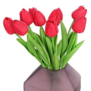 Fiori, bulbo da 20 tulipani, bulbi di tulipano perenne rosso luminoso puro, fiori rossi come nuvole al tramonto, impressione rossa