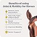 Summit Equine Joint & Mobility Bites Daily Supplement for Horses, Liposomal Delivery, Max Absorption, Vet Recommended, All-Natural Ingredients, 100% Drug-Free, Healthy Joints - 30 Bites