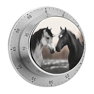 Qsmghkd Pferde-Design Edelstahl Küchentimer 60 Minuten