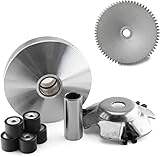 piaggio nrg power dd entdrosseln Im Lieferumfang befinden sich die Riemenscheibe, der Variator, drei Gleitschuhe sowie sechs Gewichte mit der Größe 19 x 15,5 mm und einem Gewicht von ca. 8,6 Gramm pro Rolle, dieses Gewicht kann von Original abweichen. Bei Bedarf können auch die Originalen Gewichte weiter benutzt werden.