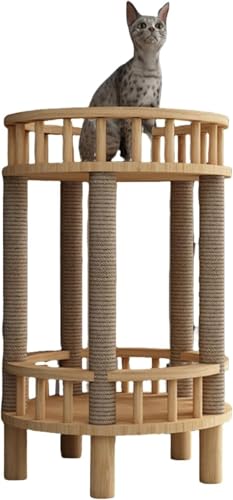 Lbg^[ ؐ Lxbh LbN LnEX LbgXebv ܂Ƃؐ ؖ ȃXy[X RpNg VR ϋv 芴 ω׏d [v FD Lp Vя xe ܂Ƃ