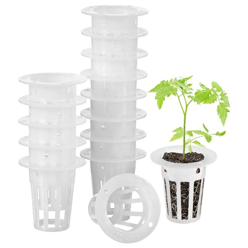 DOITOOL 100 Stücke Garten Net Tasse Töpfe Kunststoff Hydrokultur Net Topf Eimer Korb für Hydrokultur Liefert (Weiß 3 4X3 5X1 7 cm)